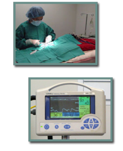 ahi_surgical-monitoring